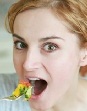 Rastafari beliefs for Steggy Saurus, a Vegetarian vegan Rastafari beliefs for Steggy Saurus, a Vegetarian vegan
